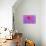 Violet-Pink Dahlia Flower-Cora Niele-Premier Image Canvas displayed on a wall