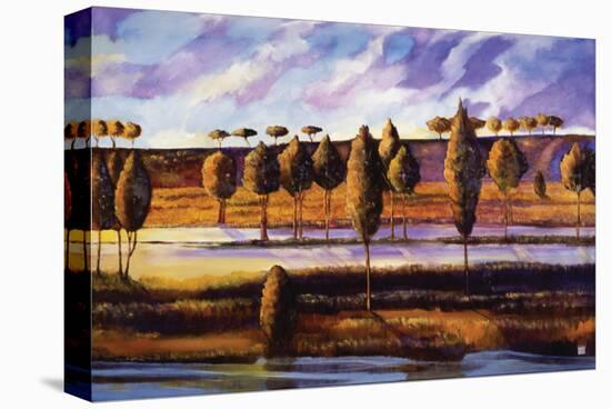 Violet Sky over Land and Water-Judith D'Agostino-Stretched Canvas