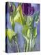 Violet Spring Flowers II-Erin McGee Ferrell-Stretched Canvas