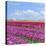 Violet Tulip Fields-Cora Niele-Premier Image Canvas