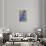 Violets-null-Stretched Canvas displayed on a wall