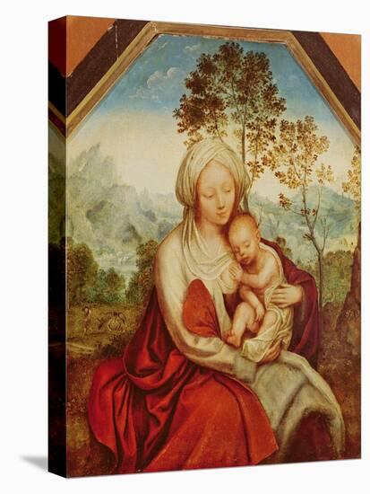 Virgin and Child (Oil on Panel)-Quentin Massys or Metsys-Premier Image Canvas