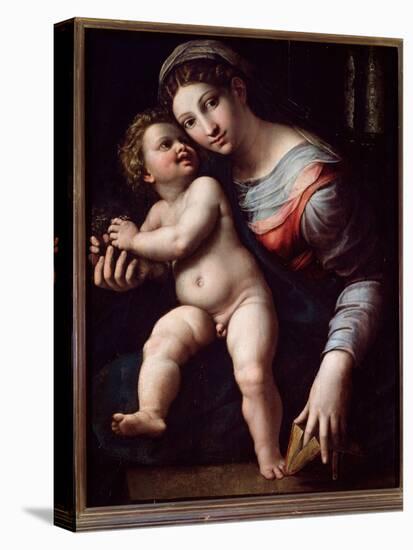 Virgin and Child (Painting, 16Th Century)-Giulio Romano-Premier Image Canvas