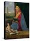 Virgin and Child (The Tallard Madonna), 15th Century-Giorgione-Premier Image Canvas