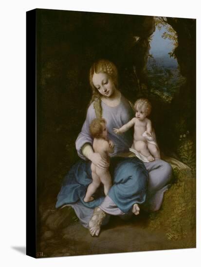 Virgin and Child with John the Baptist as a Boy-Correggio-Premier Image Canvas