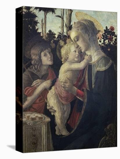 Virgin and Child with John the Baptist-Sandro Botticelli-Premier Image Canvas