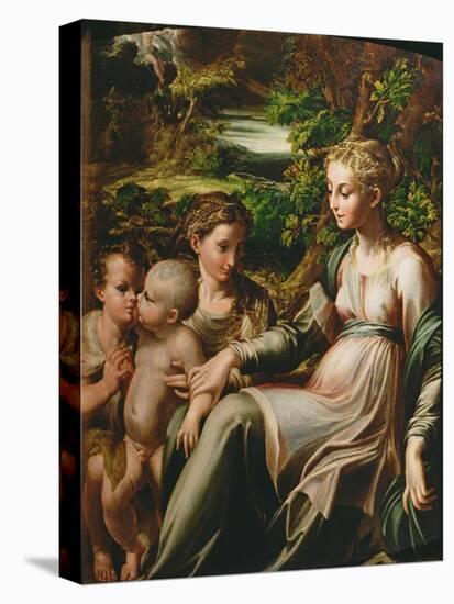 Virgin and Child, with Saints Catherine and John-Parmigianino-Premier Image Canvas