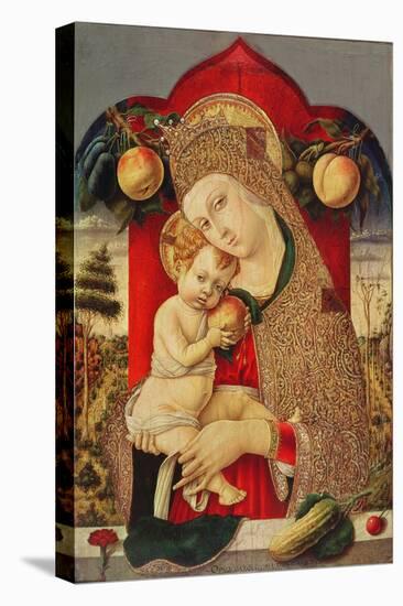 Virgin and Child-Carlo Crivelli-Premier Image Canvas