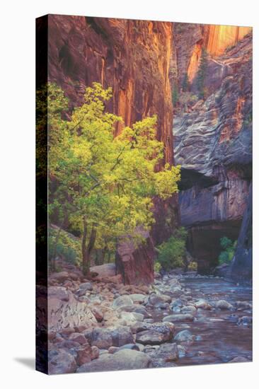 Virgin Narrows Nook, Zion-Vincent James-Premier Image Canvas