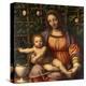 Virgin of the Rose Bush-Bernardino Luini-Premier Image Canvas