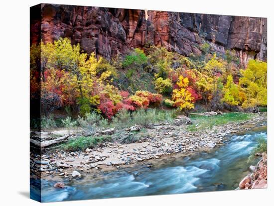 Virgin River and Rock Face at Big Bend, Zion National Park, Springdale, Utah, USA-null-Stretched Canvas