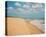 Virginia Beach-Myan Soffia-Stretched Canvas