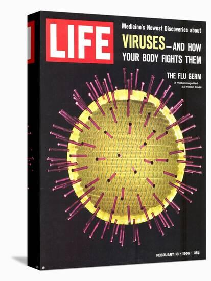 Viruses, Model of Flu Virus, February 18, 1966-Yale Joel-Premier Image Canvas