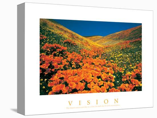 Vision - Poppy Field-unknown unknown-Stretched Canvas