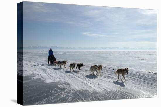 Visitors Enjoying Dog Sledding-Louise Murray-Premier Image Canvas