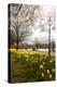 Visitors Walking Along the Serpentine with Daffodils in the Foreground, Hyde Park, London-Charlie Harding-Premier Image Canvas