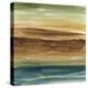 Vista Abstract I-Ethan Harper-Stretched Canvas