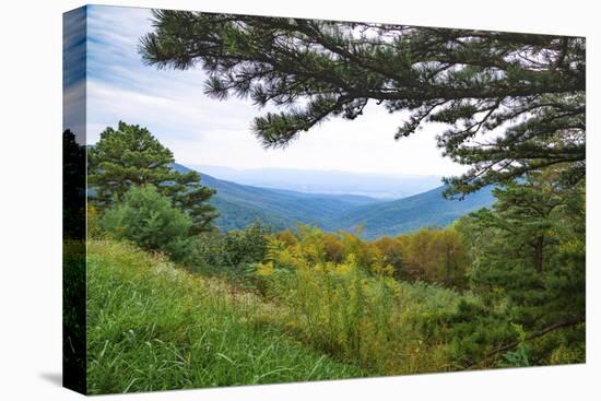 Vista, Shenandoah, Blue Ridge Parkway, Smoky Mountains, USA.-Anna Miller-Premier Image Canvas