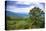 Vista, Shenandoah, Blue Ridge Parkway, Smoky Mountains, USA.-Anna Miller-Premier Image Canvas
