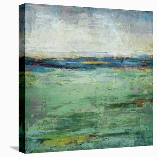 Vista Sights-Mark Chandon-Stretched Canvas