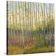 Vista Trees-Libby Smart-Stretched Canvas