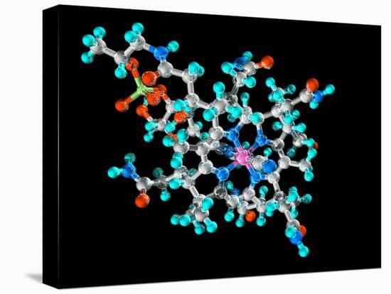 Vitamin B12, Molecular Model-Laguna Design-Premier Image Canvas