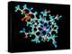 Vitamin B12, Molecular Model-Laguna Design-Premier Image Canvas