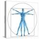 Vitruvian Human or Man, Anatomy Body for Biology-bestdesign36-Stretched Canvas