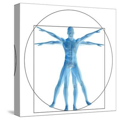 Vitruvian Human Or Man Anatomy Body For Biology Art Print Bestdesign36 Art Com