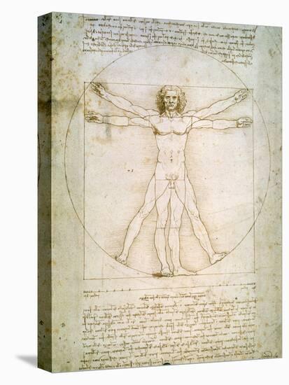 Vitruvian Man, c.1492-Leonardo da Vinci-Premier Image Canvas