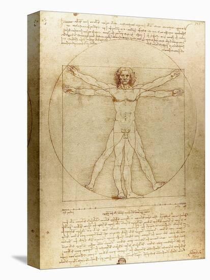 Vitruvian Man (Canon of Proportions) by Leonardo Da Vinci-Fine Art-Premier Image Canvas
