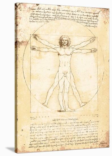 Vitruvian Man-Leonardo Da Vinci-Stretched Canvas