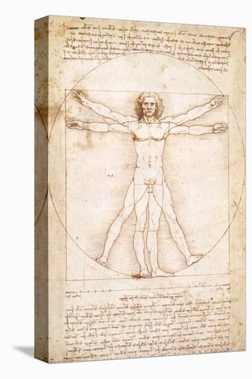 Vitruvius Man-Leonardo da Vinci-Stretched Canvas