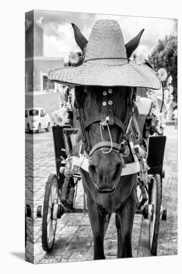 ¡Viva Mexico! B&W Collection - Horse with a straw Hat II-Philippe Hugonnard-Premier Image Canvas