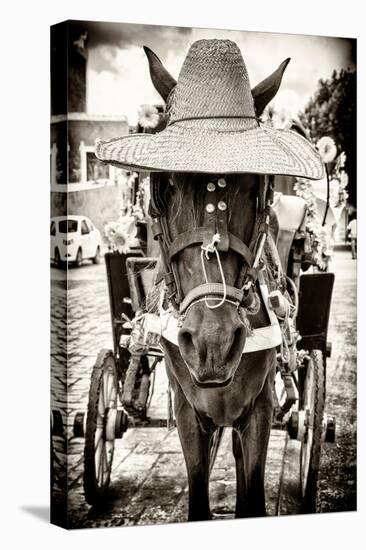 ¡Viva Mexico! B&W Collection - Horse with a straw Hat-Philippe Hugonnard-Premier Image Canvas