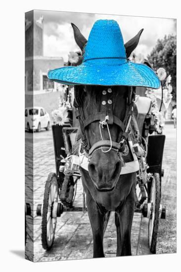 ¡Viva Mexico! B&W Collection - Horse with Blue straw Hat-Philippe Hugonnard-Premier Image Canvas