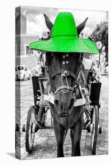 ¡Viva Mexico! B&W Collection - Horse with Green straw Hat-Philippe Hugonnard-Premier Image Canvas