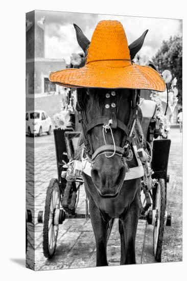 ¡Viva Mexico! B&W Collection - Horse with Light Orange straw Hat-Philippe Hugonnard-Premier Image Canvas