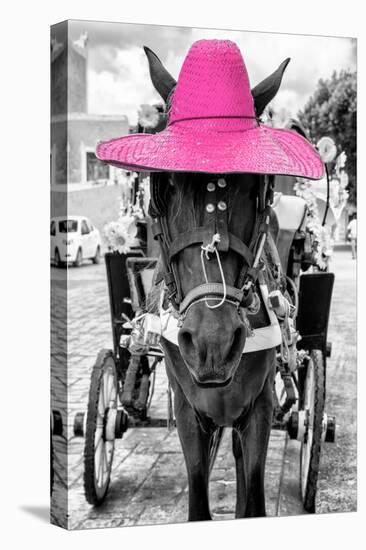 ¡Viva Mexico! B&W Collection - Horse with Pink straw Hat-Philippe Hugonnard-Premier Image Canvas