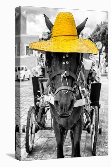 ¡Viva Mexico! B&W Collection - Horse with Yellow straw Hat-Philippe Hugonnard-Premier Image Canvas