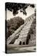 ¡Viva Mexico! B&W Collection - Mayan Temple of Inscriptions in Palenque VI-Philippe Hugonnard-Premier Image Canvas
