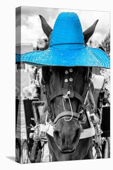 ¡Viva Mexico! B&W Collection - Portrait of Horse with Blue Hat-Philippe Hugonnard-Premier Image Canvas