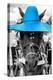 ¡Viva Mexico! B&W Collection - Portrait of Horse with Blue Hat-Philippe Hugonnard-Premier Image Canvas