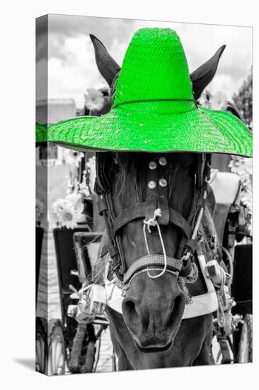 ¡Viva Mexico! B&W Collection - Portrait of Horse with Green Hat-Philippe Hugonnard-Premier Image Canvas