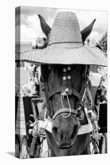 ¡Viva Mexico! B&W Collection - Portrait of Horse with Hat II-Philippe Hugonnard-Premier Image Canvas