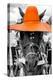 ¡Viva Mexico! B&W Collection - Portrait of Horse with Orange Hat-Philippe Hugonnard-Premier Image Canvas