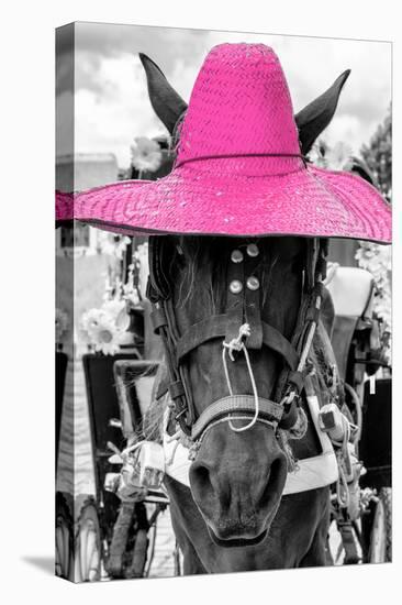 ¡Viva Mexico! B&W Collection - Portrait of Horse with Pink Hat-Philippe Hugonnard-Premier Image Canvas