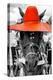 ¡Viva Mexico! B&W Collection - Portrait of Horse with Red Hat-Philippe Hugonnard-Premier Image Canvas