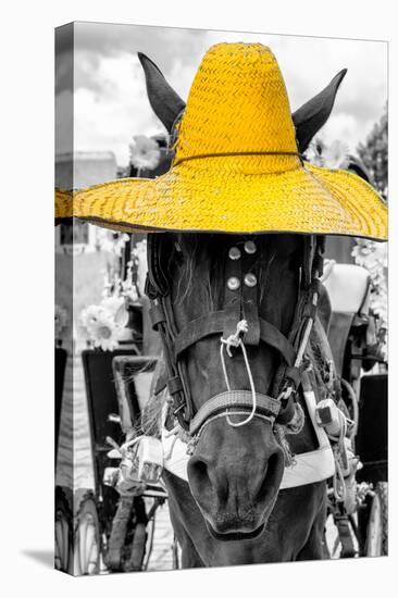 ¡Viva Mexico! B&W Collection - Portrait of Horse with Yellow Hat-Philippe Hugonnard-Premier Image Canvas