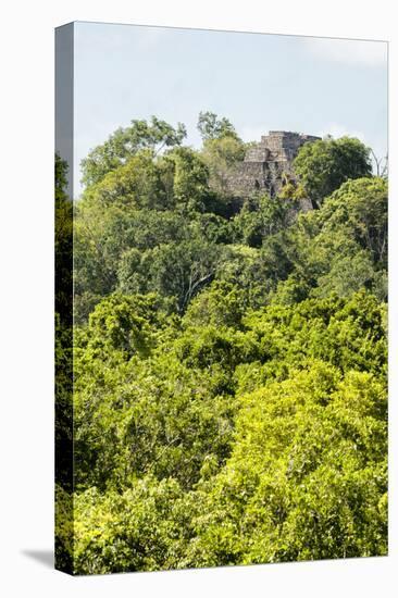 ¡Viva Mexico! Collection - Ancient Maya City within the jungle III - Calakmul-Philippe Hugonnard-Premier Image Canvas